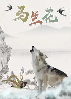 杜比视界
