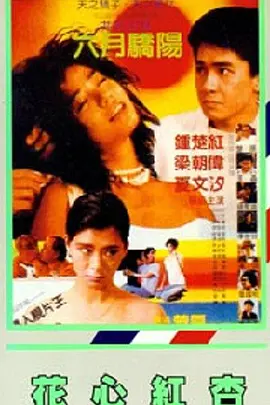 粤语中字无删减在线播放