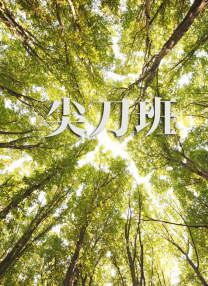 简繁英字幕